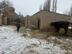 WhatsApp Image 2026-01-21 at 11.01.48 (1).jpeg