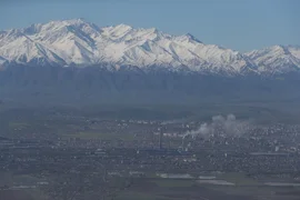 WhatsApp Image 2026-01-21 at 16.26.44.jpeg