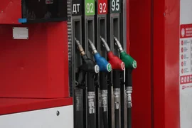 WhatsApp Image 2026-01-21 at 16.26.49.jpeg