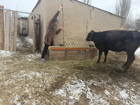 WhatsApp Image 2026-01-21 at 11.01.45 (1).jpeg