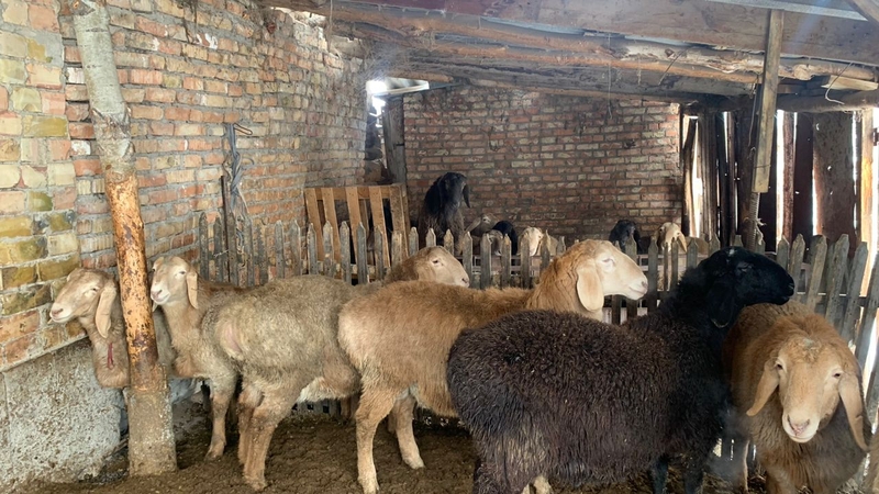 WhatsApp Image 2026-01-23 at 16.52.16.jpeg