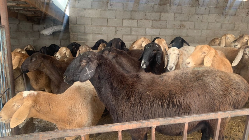 WhatsApp Image 2026-01-23 at 16.52.16 (1).jpeg