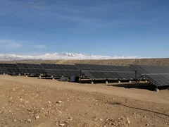 WhatsApp Image 2026-01-26 at 09.14.37 (8).jpeg