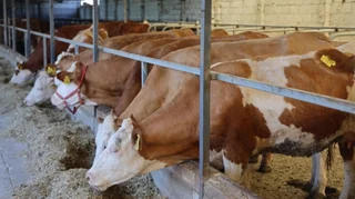 WhatsApp Image 2026-01-26 at 12.49.06.jpeg