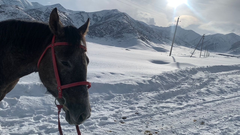 WhatsApp Image 2026-01-29 at 09.34.00.jpeg