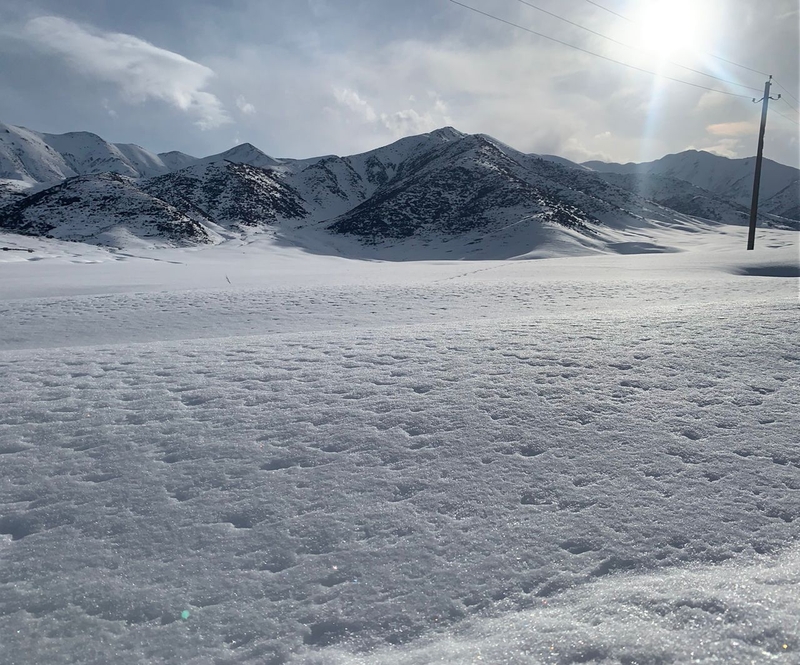 WhatsApp Image 2026-01-29 at 09.34.01.jpeg