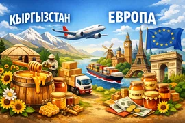 WhatsApp Image 2026-01-29 at 17.36.17.jpeg