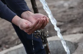 WhatsApp Image 2026-01-30 at 11.10.01.jpeg