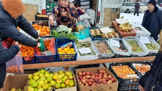 WhatsApp Image 2026-01-30 at 13.59.34.jpeg