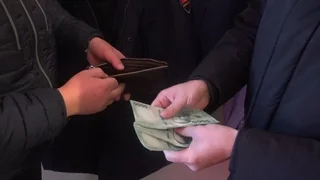 WhatsApp Image 2026-02-03 at 11.33.12 (1).jpeg