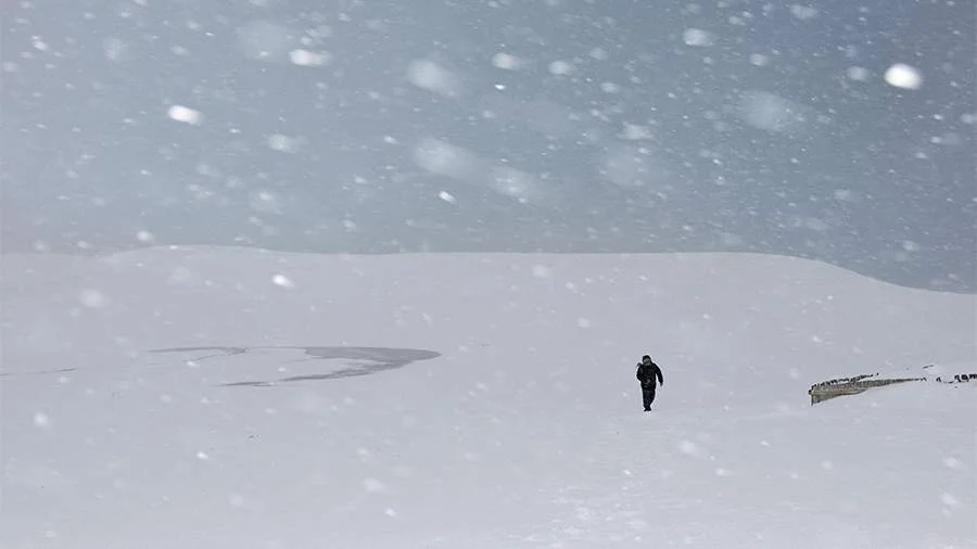 WhatsApp Image 2026-02-05 at 18.02.13.jpeg