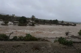 WhatsApp Image 2026-02-09 at 08.28.05.jpeg