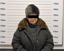 WhatsApp Image 2026-02-09 at 10.20.52 (1).jpeg