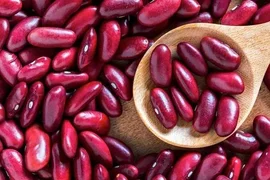 WhatsApp Image 2026-02-11 at 11.36.58.jpeg