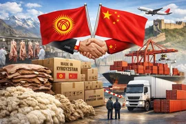 WhatsApp Image 2026-02-12 at 09.03.14.jpeg