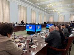 WhatsApp Image 2026-02-12 at 10.22.23.jpeg