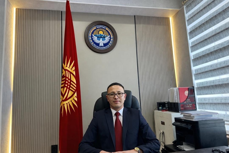 WhatsApp Image 2026-02-12 at 11.33.26