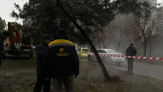 WhatsApp Image 2026-02-12 at 12.33.38.jpeg