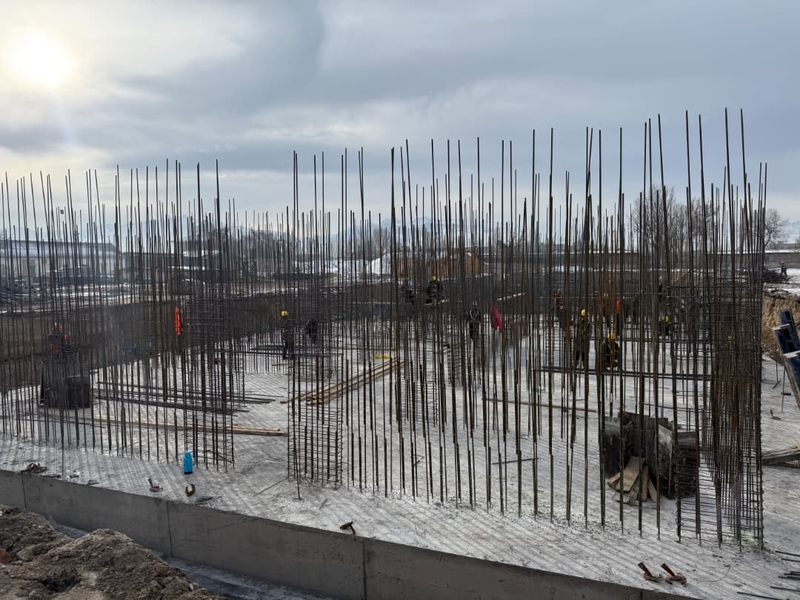 WhatsApp Image 2026-02-12 at 14.11.43