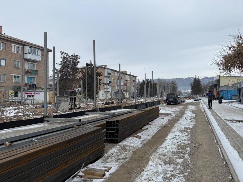 WhatsApp Image 2026-02-12 at 14.12.16