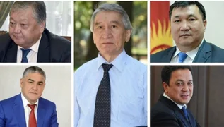 WhatsApp Image 2026-02-13 at 12.07.57.jpeg