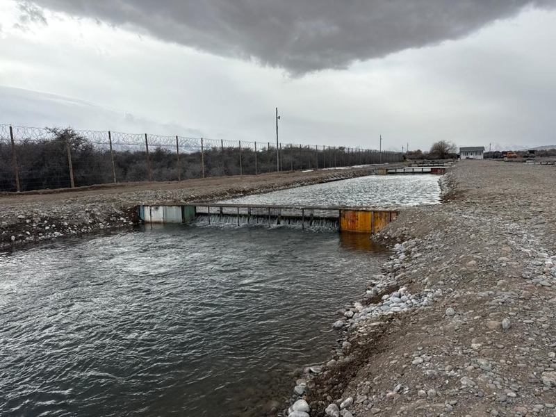 WhatsApp Image 2026-02-16 at 12.32.21 (1).jpeg