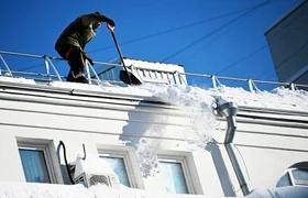 WhatsApp Image 2026-02-17 at 08.44.00.jpeg