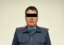 WhatsApp Image 2026-02-17 at 10.59.53 (1).jpeg