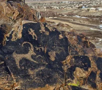 WhatsApp Image 2026-02-17 at 15.50.26.jpeg