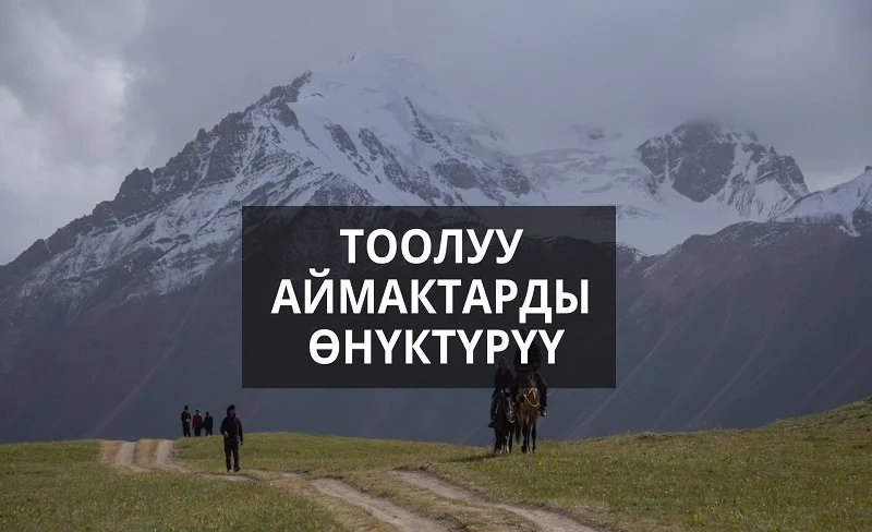 WhatsApp Image 2026-02-17 at 16.44.47.jpeg