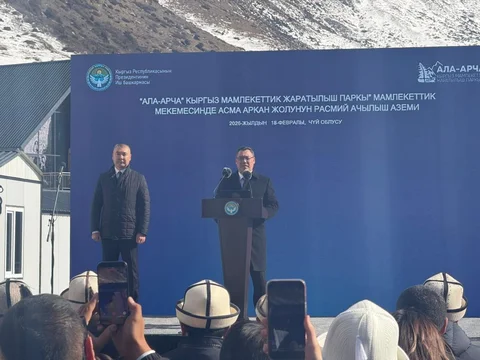 WhatsApp Image 2026-02-18 at 14.43.17.jpeg