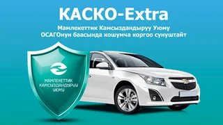 WhatsApp Image 2026-02-19 at 10.56.30.jpeg