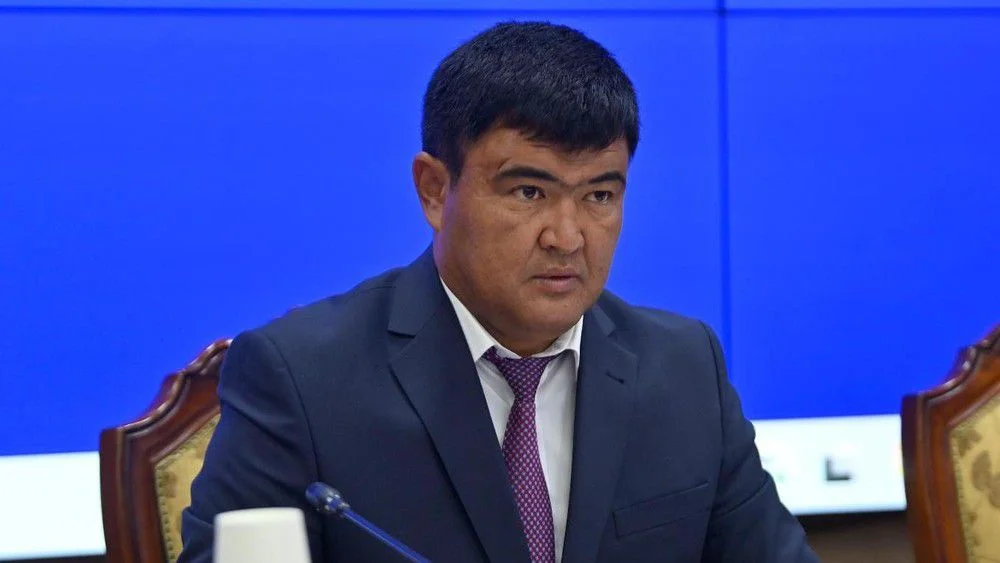 WhatsApp Image 2026-02-21 at 11.47.45.jpeg