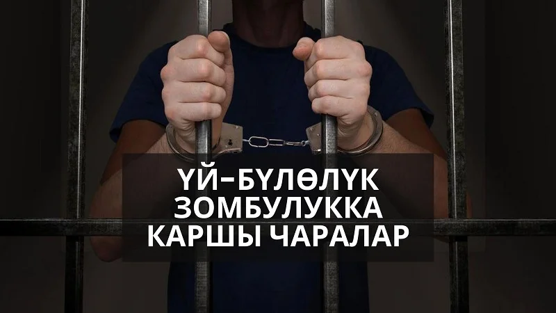 WhatsApp Image 2026-02-23 at 17.35.25.jpeg