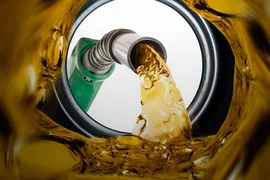 WhatsApp Image 2026-02-24 at 11.40.25.jpeg