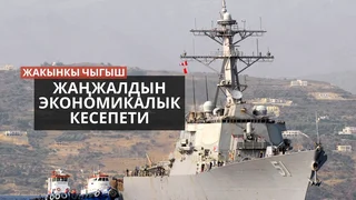 WhatsApp Image 2026-03-02 at 17.50.57.jpeg