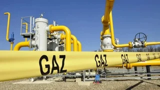 WhatsApp Image 2026-03-03 at 09.43.40.jpeg