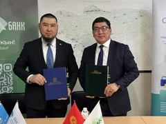 WhatsApp Image 2026-03-03 at 15.32.00.jpeg