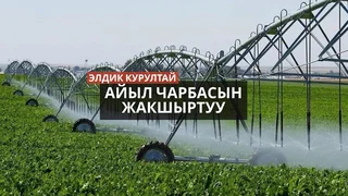 WhatsApp Image 2026-03-04 at 12.10.42.jpeg