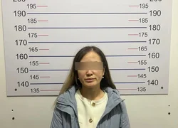 WhatsApp Image 2026-03-07 at 12.06.55.jpeg