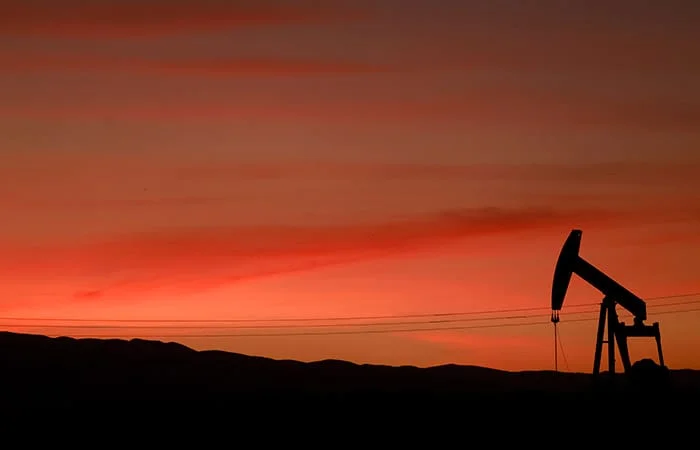 WhatsApp Image 2026-03-12 at 05.55.20.jpeg