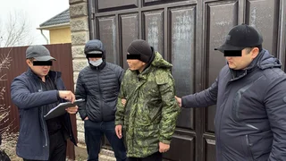 WhatsApp Image 2026-03-13 at 10.06.11.jpeg