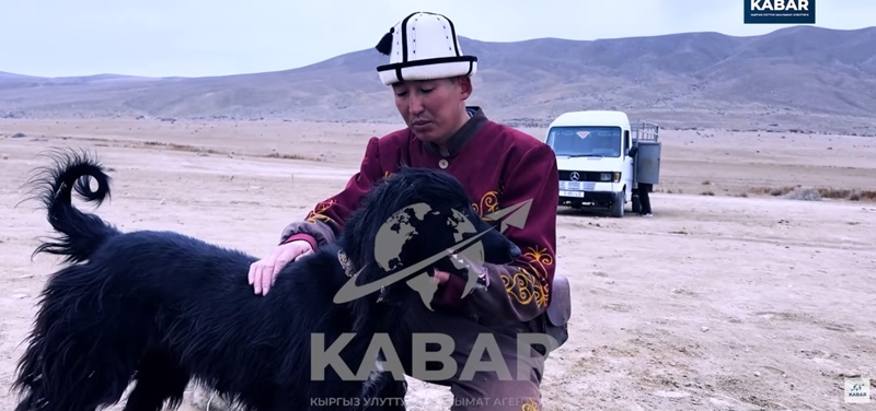 WhatsApp Image 2026-03-13 at 12.16.16