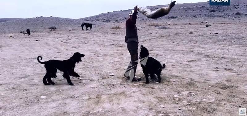 WhatsApp Image 2026-03-13 at 12.16.16 (1)