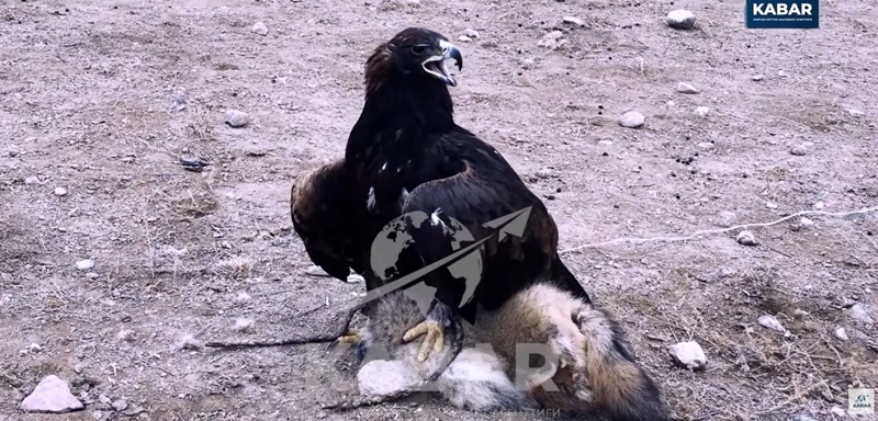 WhatsApp Image 2026-03-13 at 12.16.17