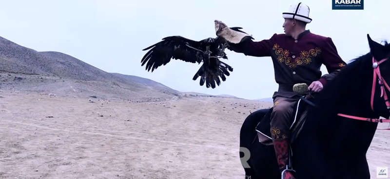 WhatsApp Image 2026-03-13 at 12.16.17 (2)