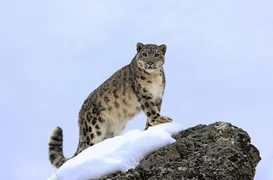 WhatsApp Image 2026-03-13 at 13.47.19 (1).jpeg