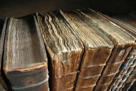 WhatsApp Image 2026-03-14 at 09.59.24.jpeg