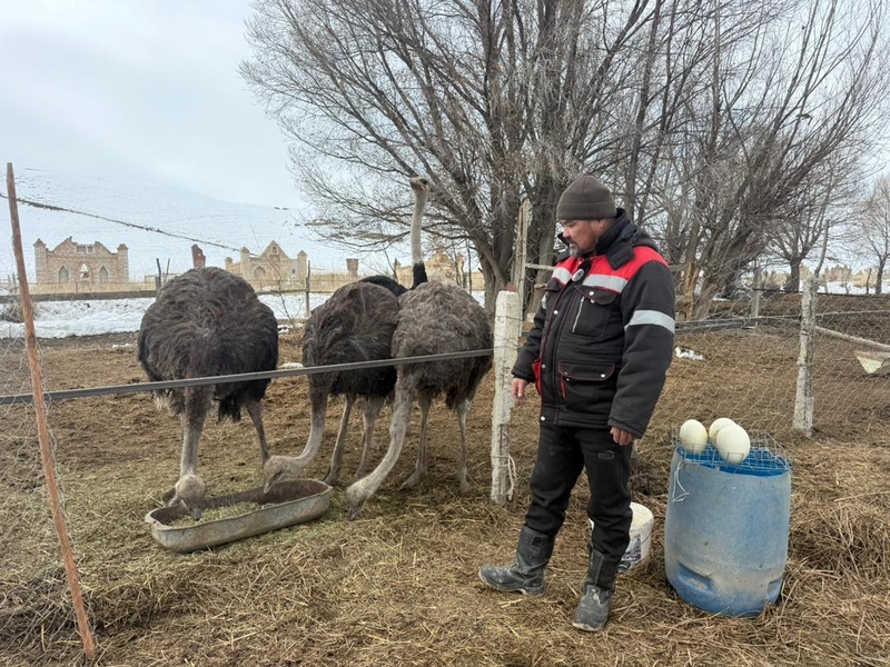 WhatsApp Image 2026-03-14 at 14.21.38 (1).jpeg