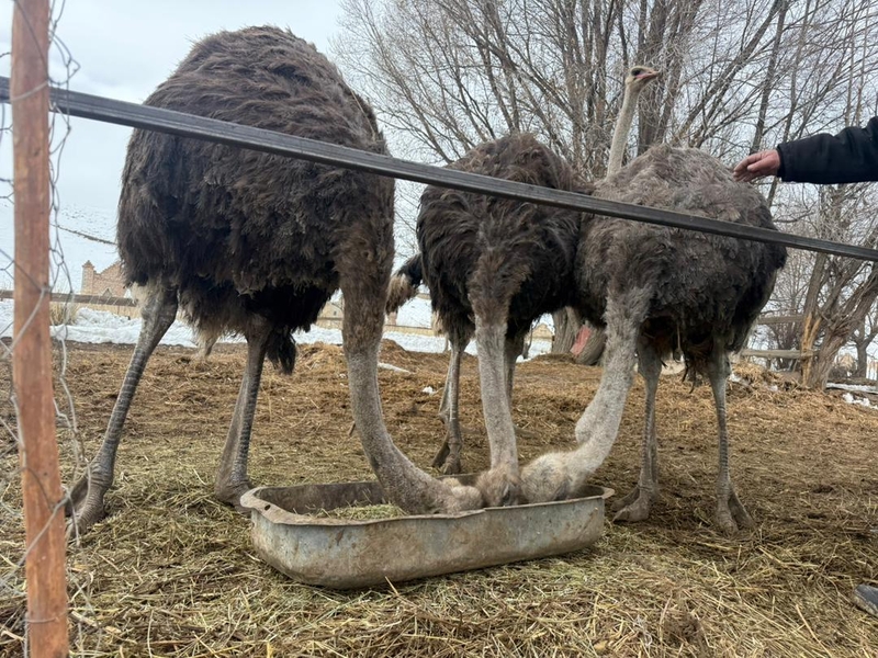 WhatsApp Image 2026-03-14 at 14.21.39.jpeg